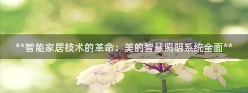 **智能家居技术的革命:美的智慧照明系统全面**