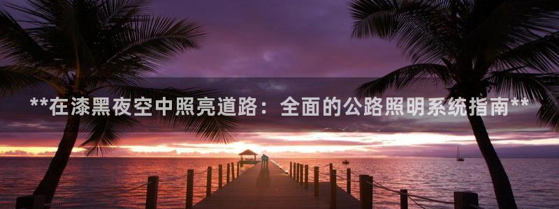 **在漆黑夜空中照亮道路：全面的公路照明系统指南**