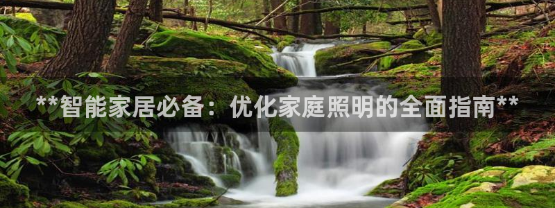 **智能家居必备：优化家庭照明的全面指南**