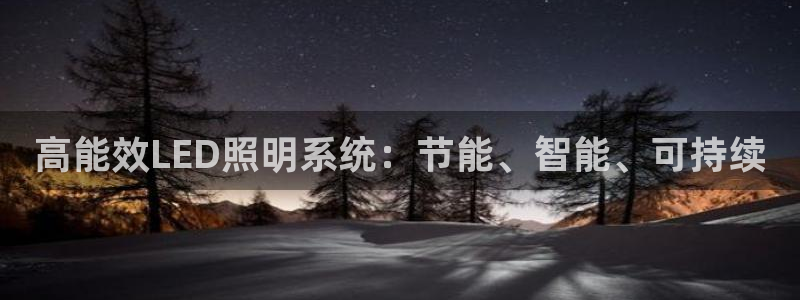 高能效LED照明系统：节能、智能、可持续