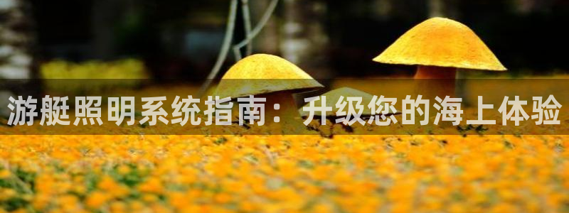 游艇照明系统指南：升级您的海上体验