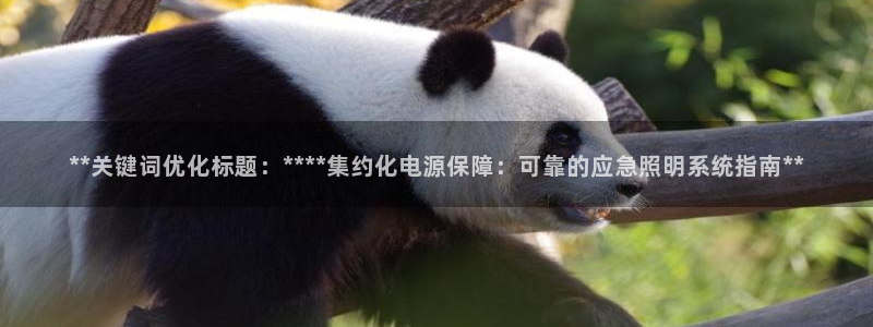 **关键词优化标题:****集约化电源保障:可靠的应急照明系统指南**