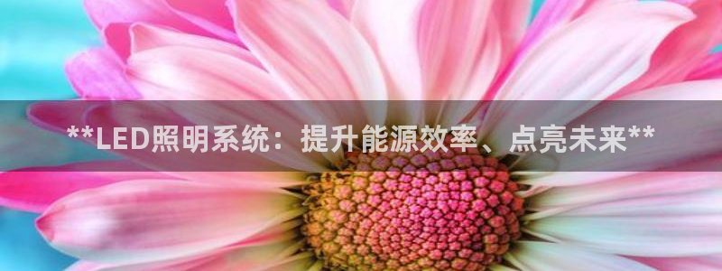 **LED照明系统：提升能源效率、点亮未来**