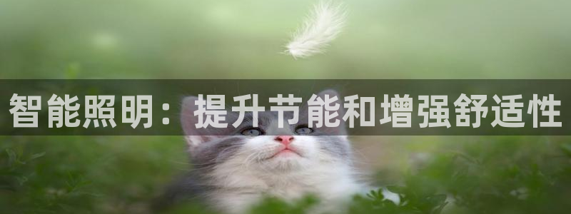 智能照明：提升节能和增强舒适性