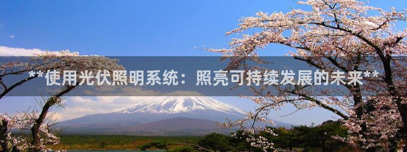 **使用光伏照明系统：照亮可持续发展的未来**