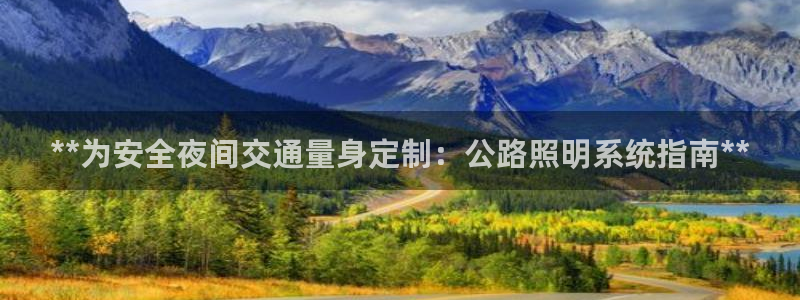 **为安全夜间交通量身定制：公路照明系统指南**