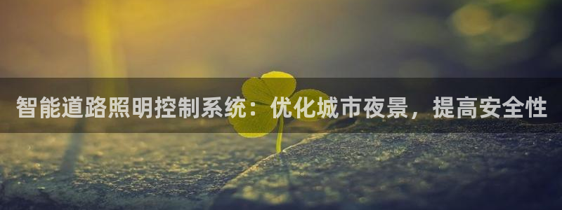 智能道路照明控制系统：优化城市夜景，提高安全性