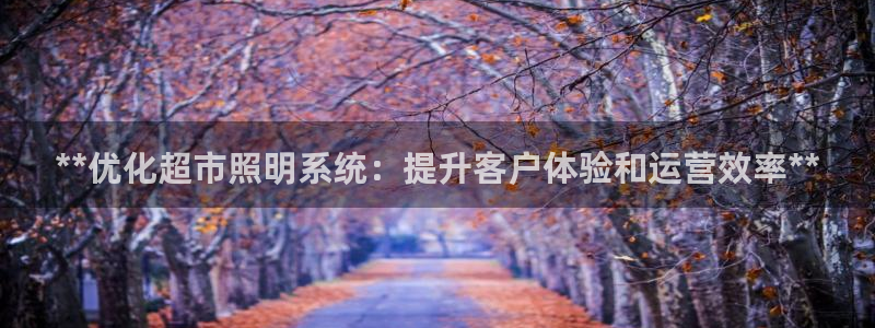 **优化超市照明系统：提升客户体验和运营效率**