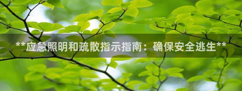 **应急照明和疏散指示指南：确保安全逃生**