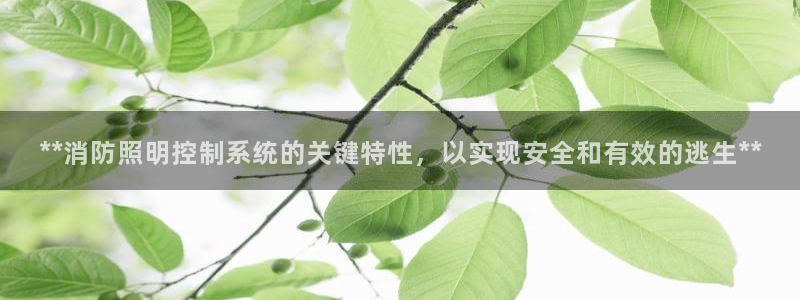 **消防照明控制系统的关键特性，以实现安全和有效的逃生**