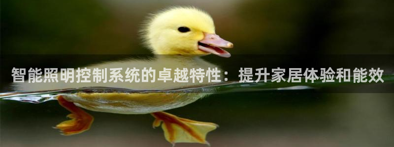 智能照明控制系统的卓越特性：提升家居体验和能效