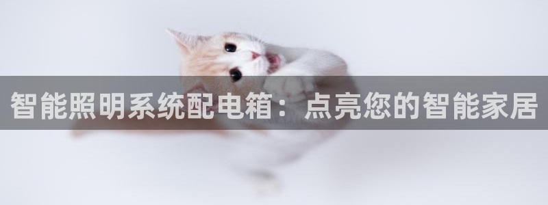 智能照明系统配电箱：点亮您的智能家居