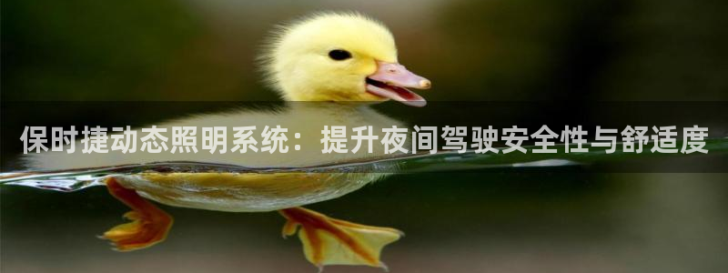 保时捷动态照明系统：提升夜间驾驶安全性与舒适度