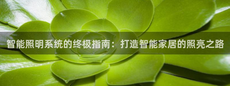 智能照明系统的终极指南：打造智能家居的照亮之路