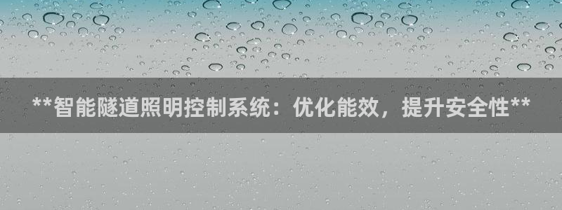 **智能隧道照明控制系统：优化能效，提升安全性**