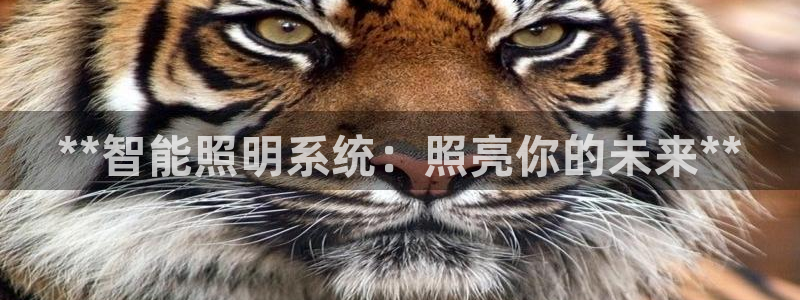 **智能照明系统：照亮你的未来**