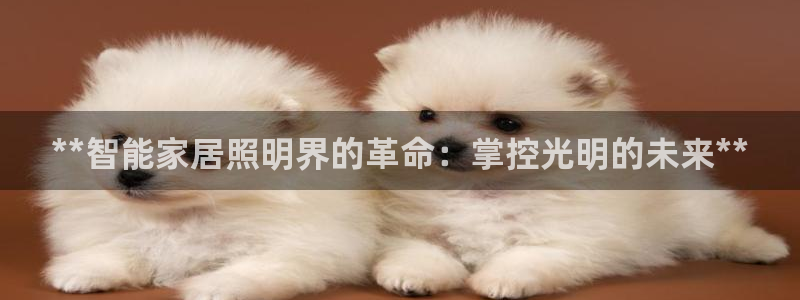 **智能家居照明界的革命：掌控光明的未来**