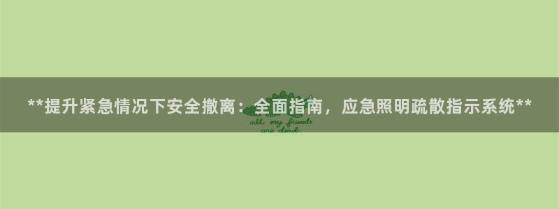 **提升紧急情况下安全撤离：全面指南，应急照明疏散指示系统**