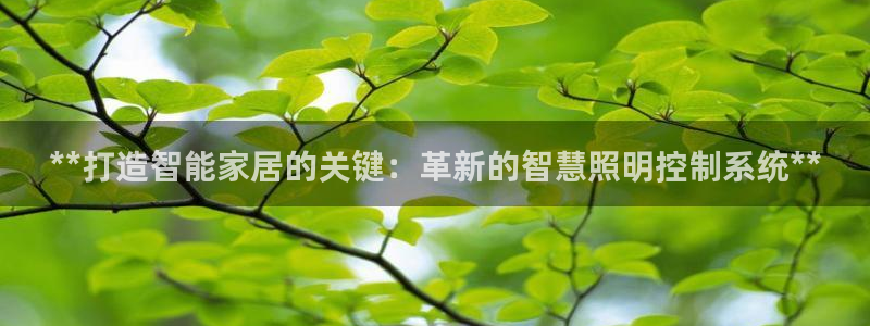 **打造智能家居的关键：革新的智慧照明控制系统**