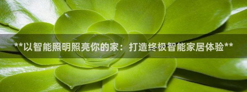 **以智能照明照亮你的家：打造终极智能家居体验**