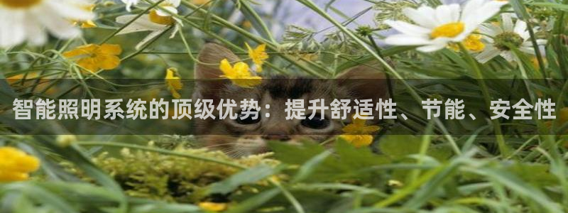 智能照明系统的顶级优势：提升舒适性、节能、安全性