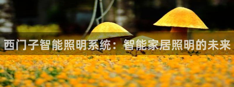 西门子智能照明系统：智能家居照明的未来