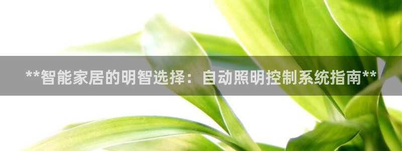 **智能家居的明智选择：自动照明控制系统指南**
