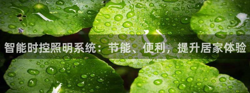 智能时控照明系统：节能、便利，提升居家体验