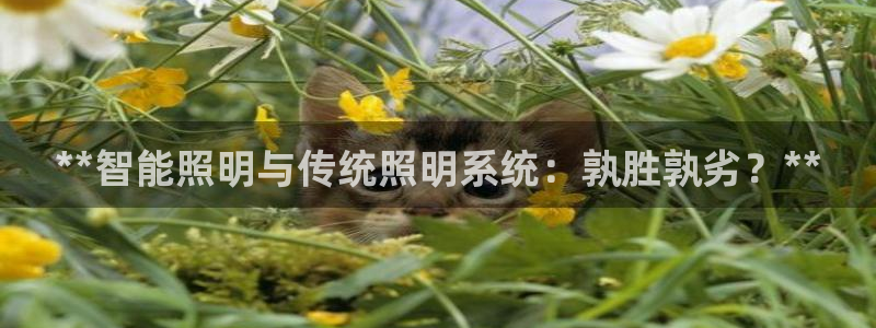 **智能照明与传统照明系统：孰胜孰劣？**