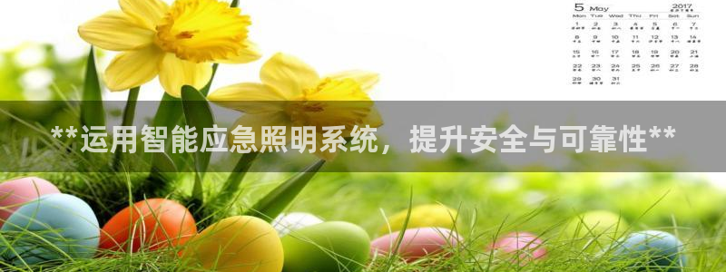 **运用智能应急照明系统，提升安全与可靠性**