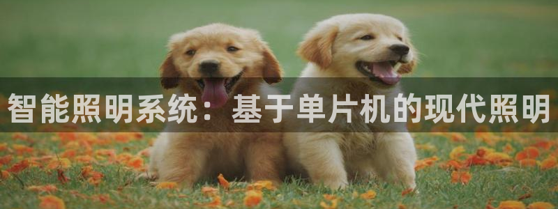 智能照明系统：基于单片机的现代照明