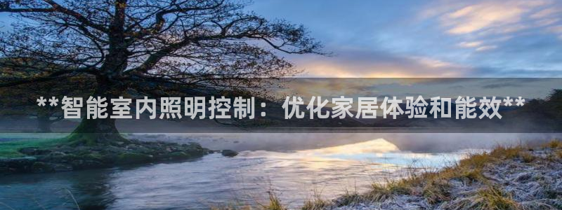 **智能室内照明控制：优化家居体验和能效**