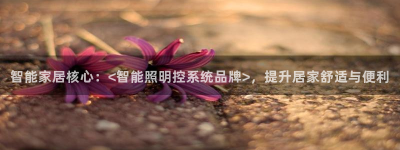 智能家居核心：<智能照明控系统品牌>，提升居家舒适与便利