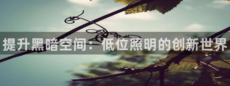 提升黑暗空间：低位照明的创新世界