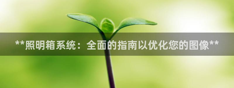 **照明箱系统：全面的指南以优化您的图像**