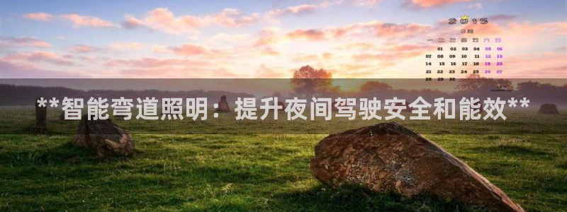 **智能弯道照明：提升夜间驾驶安全和能效**