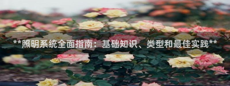 **照明系统全面指南：基础知识、类型和最佳实践**