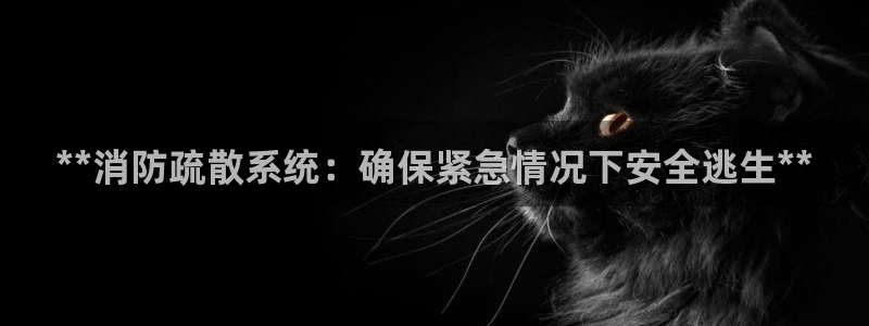 **消防疏散系统：确保紧急情况下安全逃生**