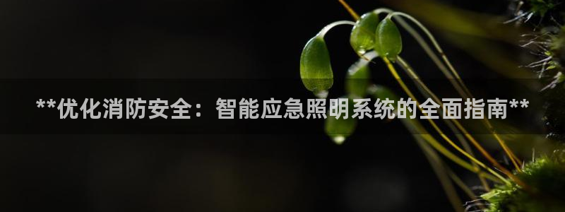 **优化消防安全：智能应急照明系统的全面指南**