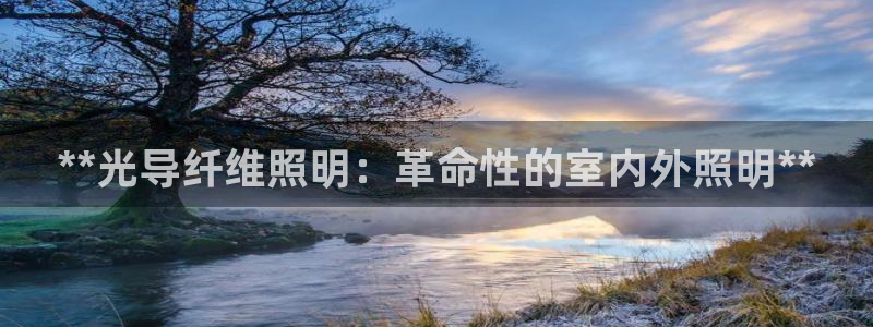 **光导纤维照明：革命性的室内外照明**