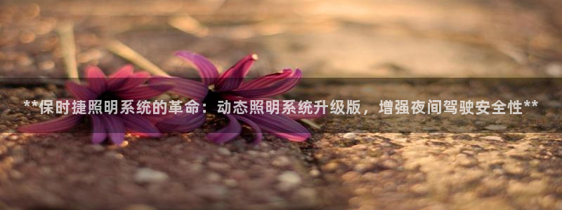 **保时捷照明系统的革命:动态照明系统升级版,增强夜间驾驶安全性**