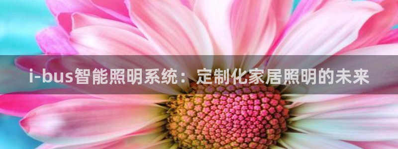 i-bus智能照明系统:定制化家居照明的未来
