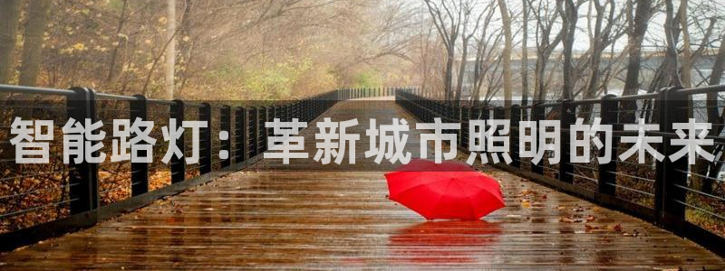 智能路灯：革新城市照明的未来