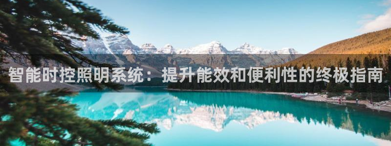 智能时控照明系统:提升能效和便利性的终极指南