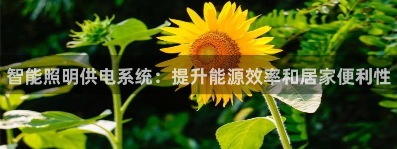 智能照明供电系统:提升能源效率和居家便利性