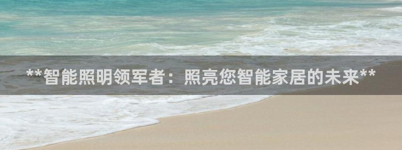 **智能照明领军者：照亮您智能家居的未来**