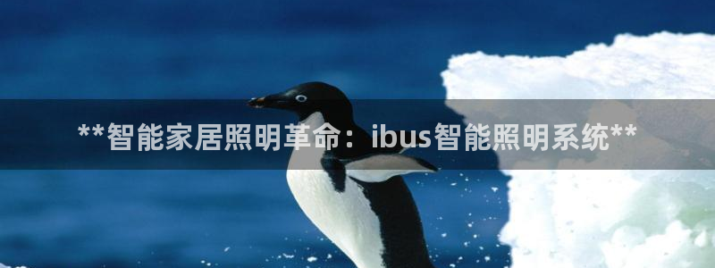 **智能家居照明革命:ibus智能照明系统**