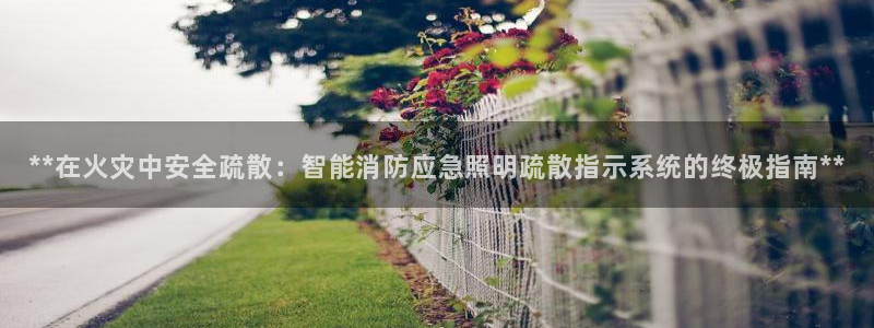 **在火灾中安全疏散:智能消防应急照明疏散指示系统的终极指南**