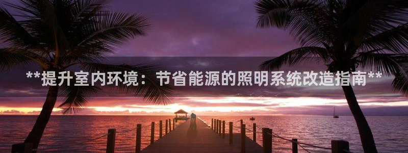 **提升室内环境：节省能源的照明系统改造指南**