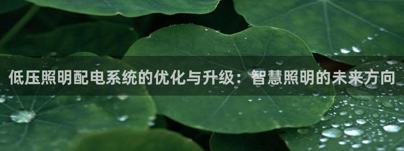 低压照明配电系统的优化与升级:智慧照明的未来方向